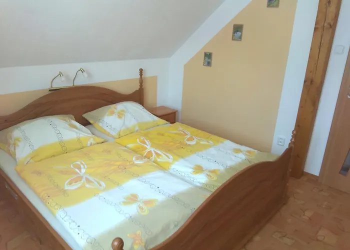 U Fiseru Nyaraló Kašperské Hory